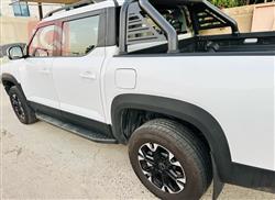 بي واي دي شارك 6
